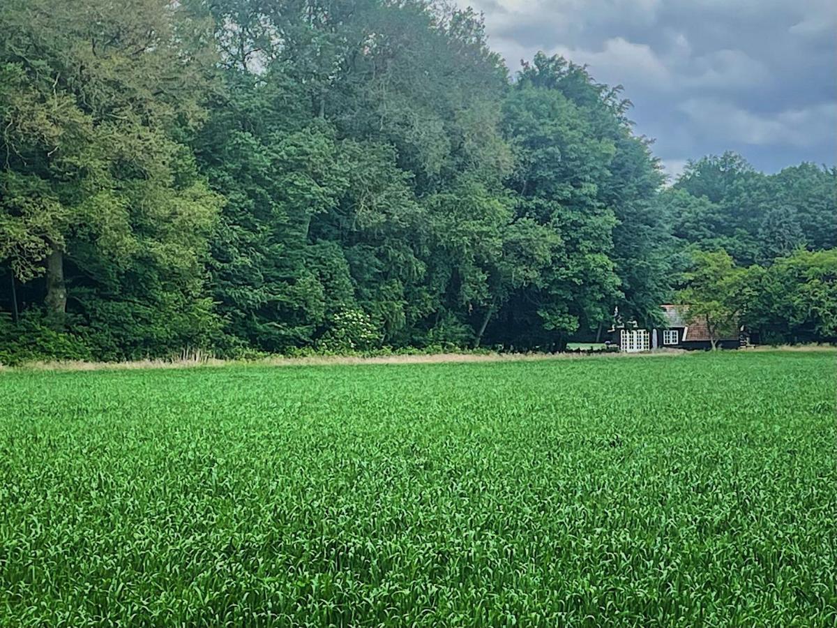 Natuurhuisje - Gastenverblijf De Kleine Hazerij Wijhe Luaran gambar